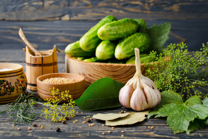 绝地求生全明星赛，娱乐与竞技并存，看明星选手如何玩转战场