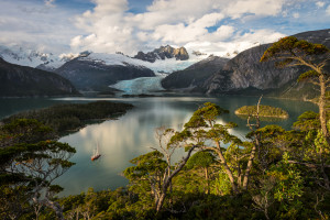 当AI遇上电竞，智慧的火花，点燃胜利的渴望！